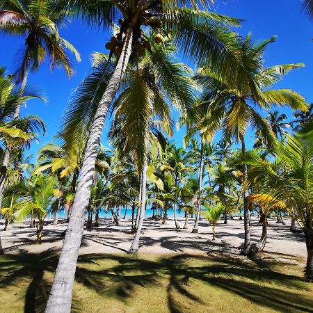 Hotel Playa Mandala パロミノ エクステリア 写真