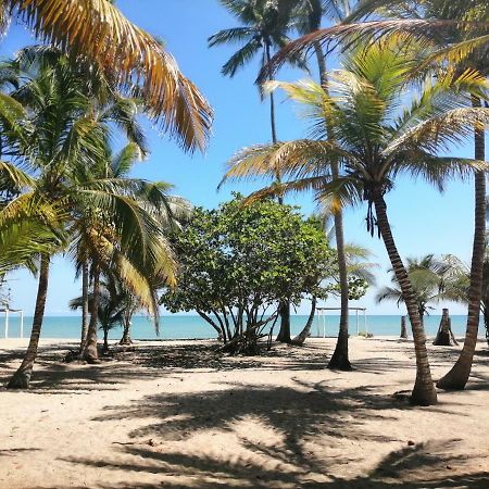 Hotel Playa Mandala パロミノ エクステリア 写真