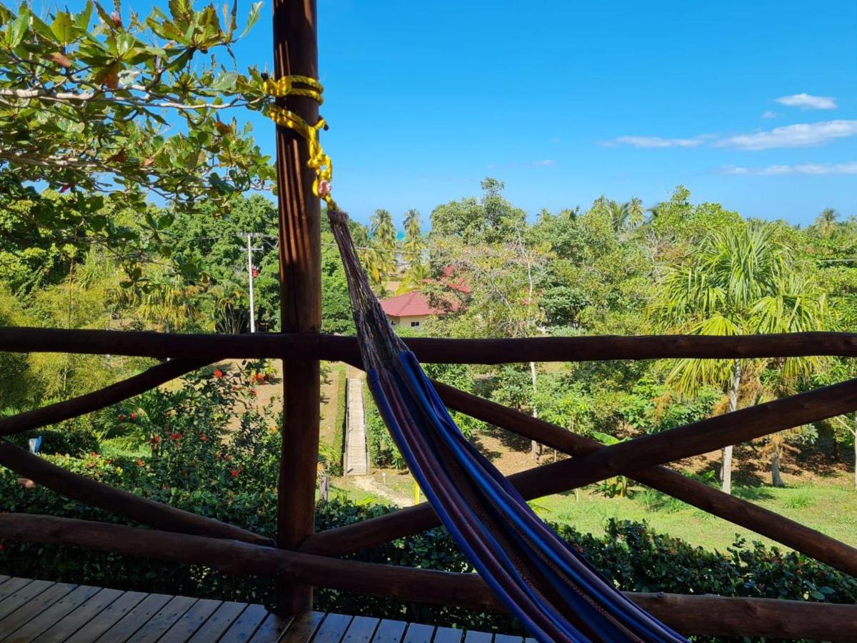 Hotel Playa Mandala パロミノ エクステリア 写真