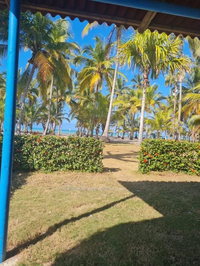 Hotel Playa Mandala パロミノ エクステリア 写真