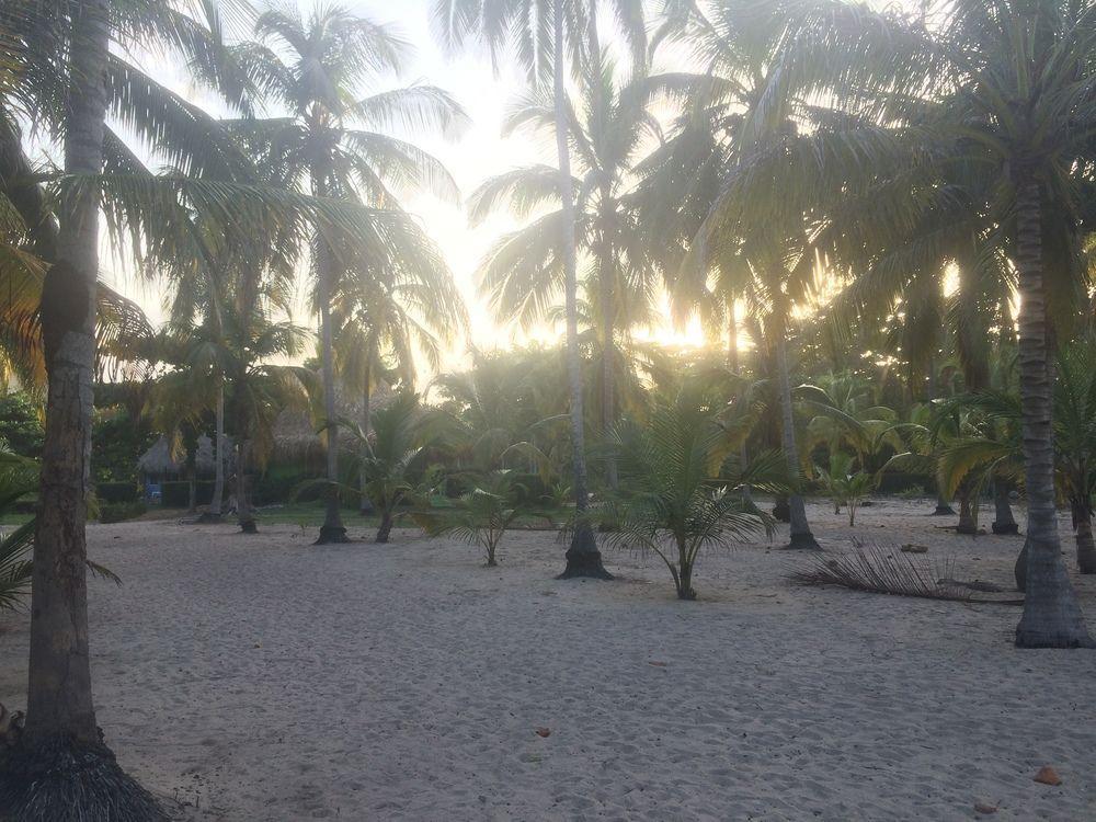 Hotel Playa Mandala パロミノ エクステリア 写真