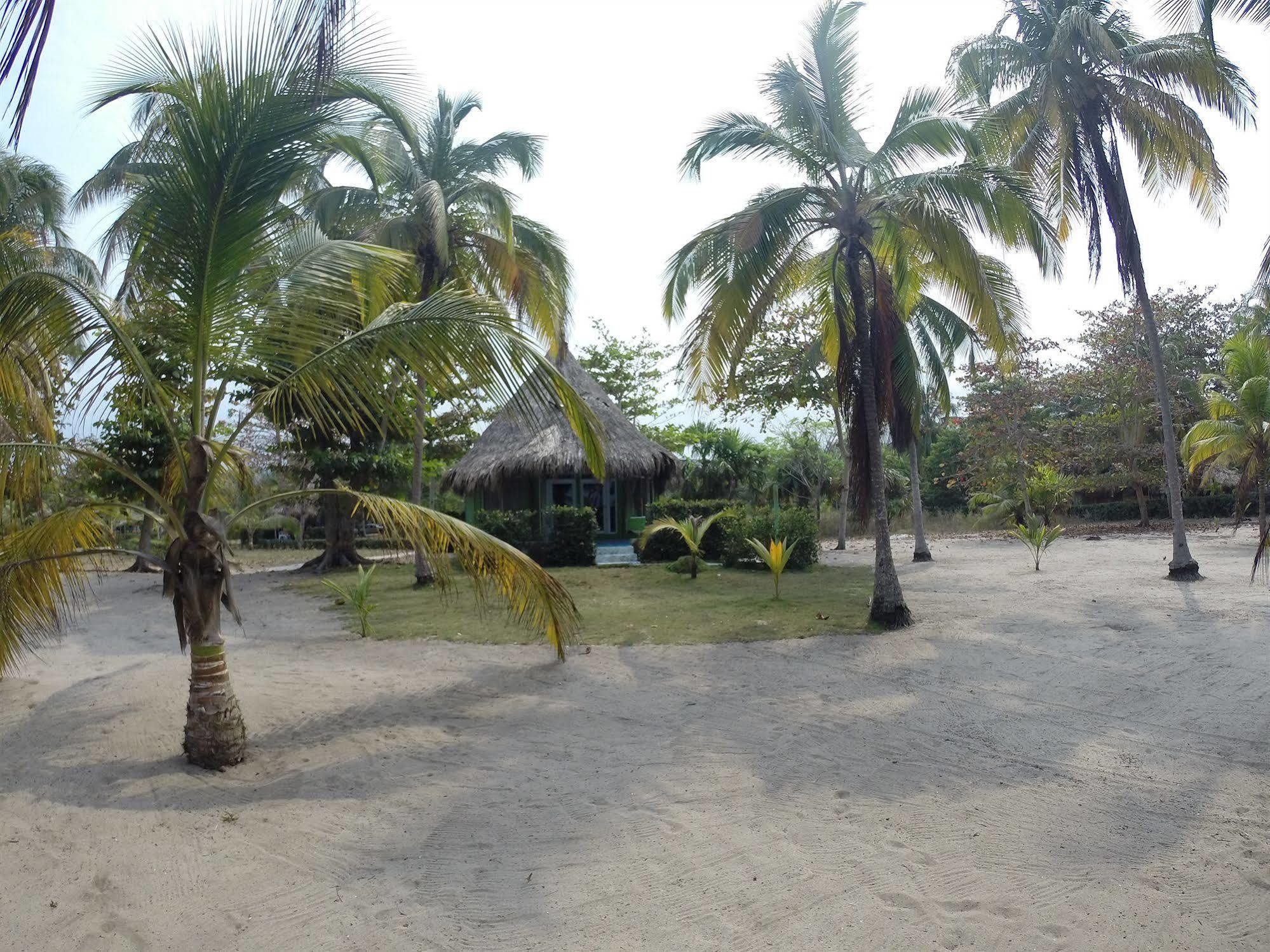 Hotel Playa Mandala パロミノ エクステリア 写真