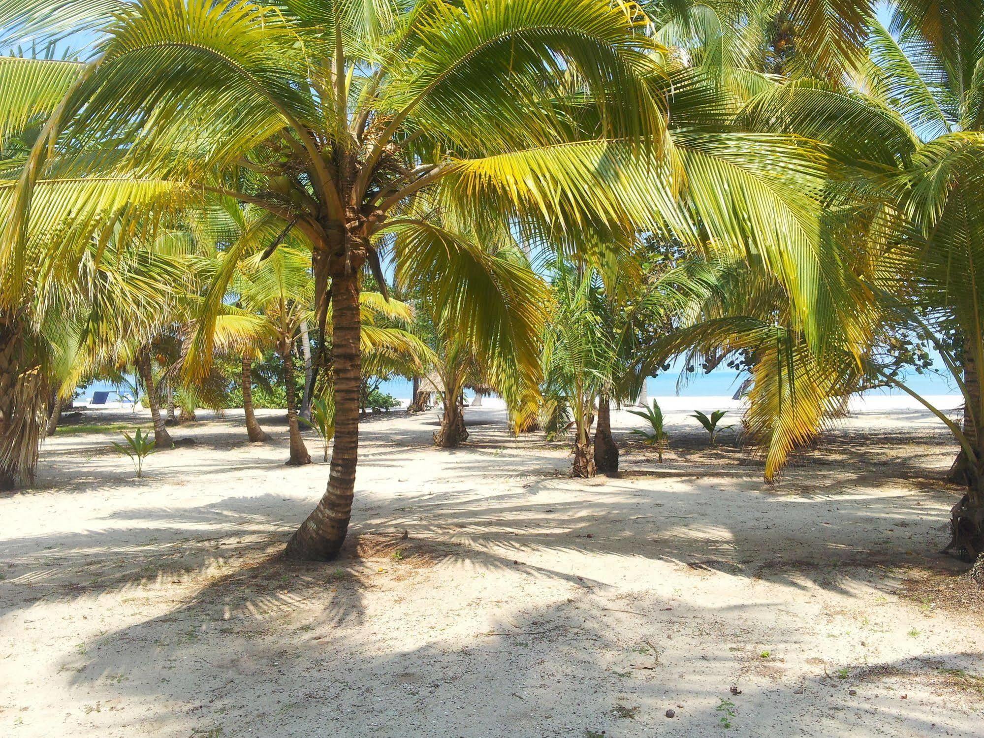 Hotel Playa Mandala パロミノ エクステリア 写真
