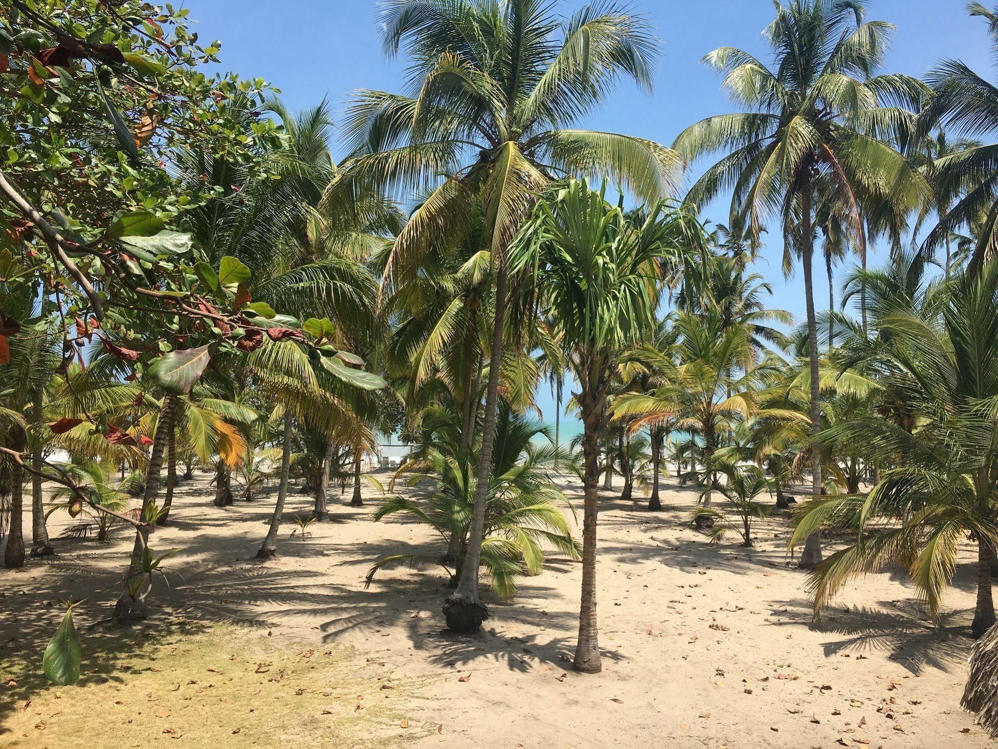 Hotel Playa Mandala パロミノ エクステリア 写真