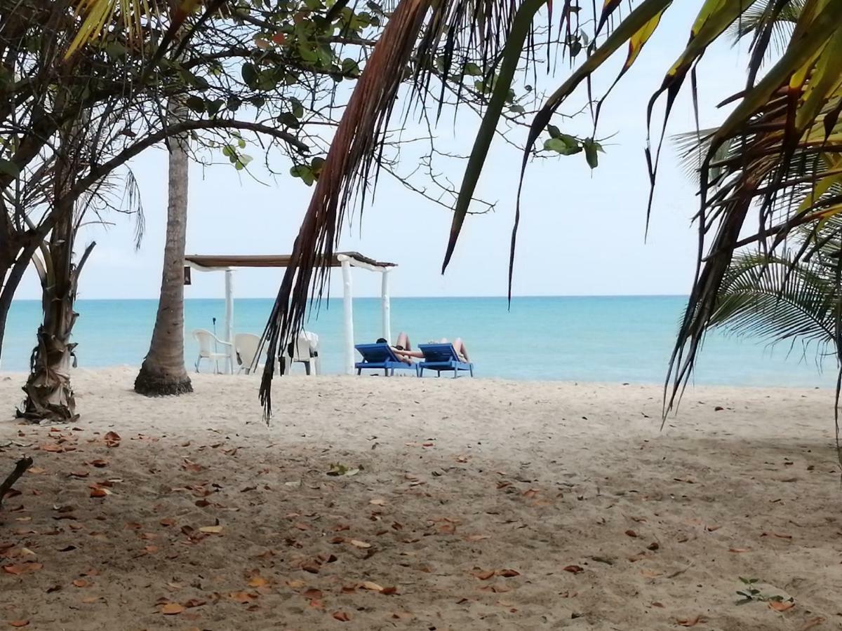 Hotel Playa Mandala パロミノ エクステリア 写真